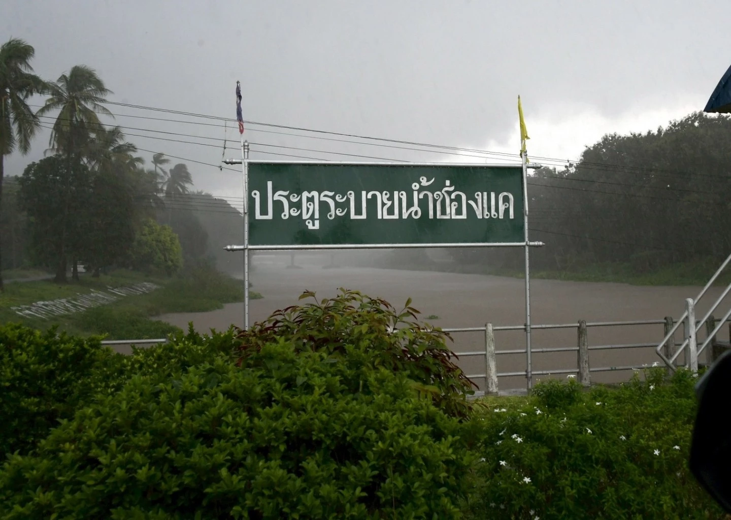 image-gallery