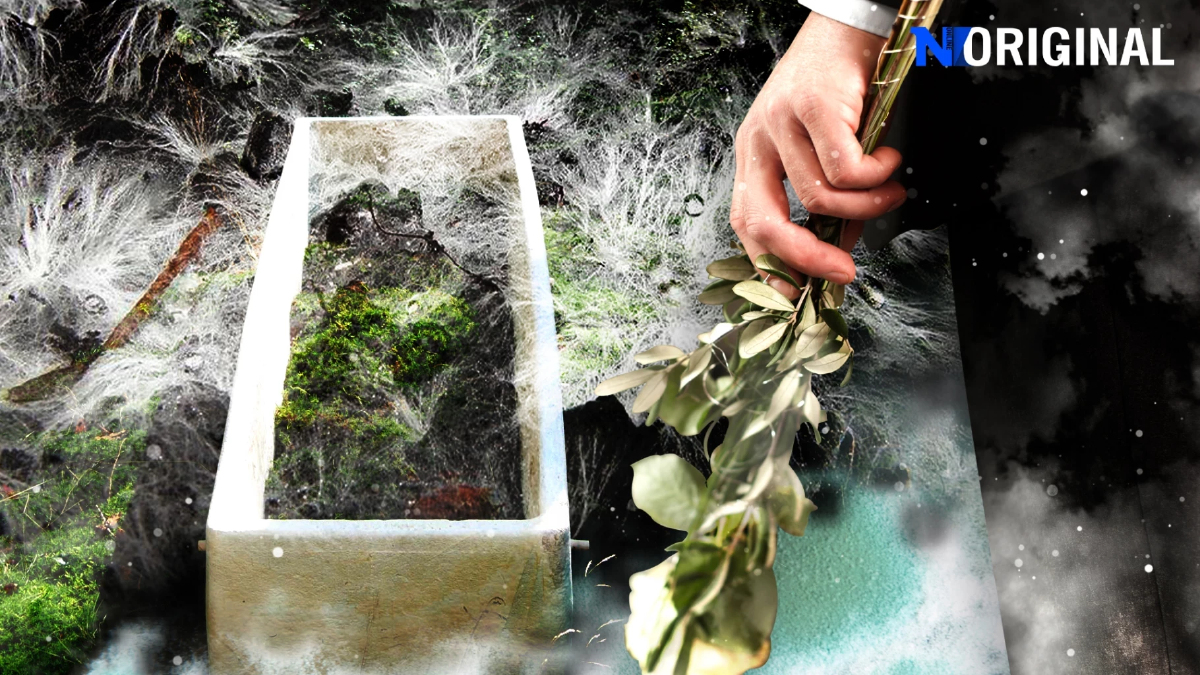 เมื่อโลงศพมีชีวิตด้วยเส้นใยเห็ดรา ‘Mycelium’ ผลิตภัณฑ์ทางเลือกรักษ์โลกแห่งอนาคต เมื่อโลงศพมีชีวิตด้วยเส้นใยเห็ดรา ‘Mycelium’ ผลิตภัณฑ์ทางเลือกรักษ์โลกแห่งอนาคต