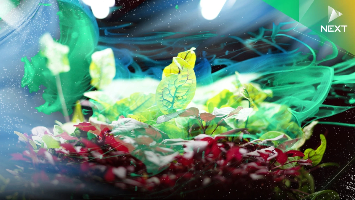 เสก 'อากาศ' เป็น ‘อาหาร’ : Future Food ทางเลือกสู่ความยั่งยืน เสก 'อากาศ' เป็น ‘อาหาร’ : Future Food ทางเลือกสู่ความยั่งยืน