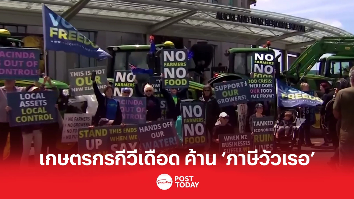 เกษตรกรกีวีเดือด ลงถนน ค้าน ‘ภาษีวัวเรอ’ เกษตรกรกีวีเดือด ลงถนน ค้าน ‘ภาษีวัวเรอ’