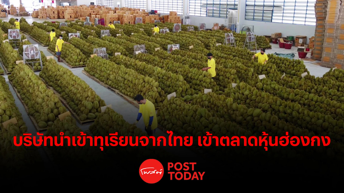 บริษัทนำเข้าทุเรียนจากไทย เข้าตลาดหุ้นฮ่องกง บริษัทนำเข้าทุเรียนจากไทย เข้าตลาดหุ้นฮ่องกง