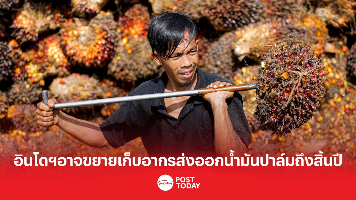 อินโดนีเซียอาจขยายการจัดเก็บอากรส่งออกน้ำมันปาล์มถึงสิ้นปี อินโดนีเซียอาจขยายการจัดเก็บอากรส่งออกน้ำมันปาล์มถึงสิ้นปี