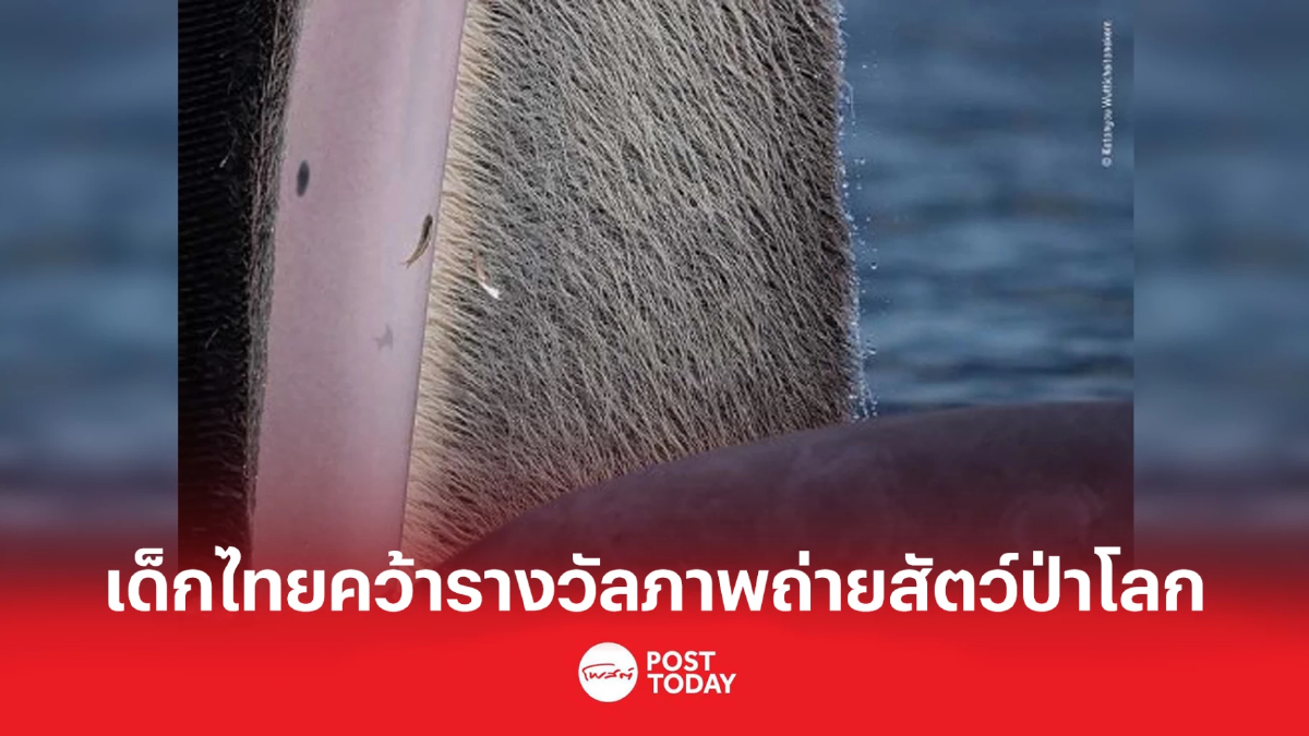 เด็กไทยคว้ารางวัลจาก Wildlife Photographer of the Year 2022 เด็กไทยคว้ารางวัลจาก Wildlife Photographer of the Year 2022