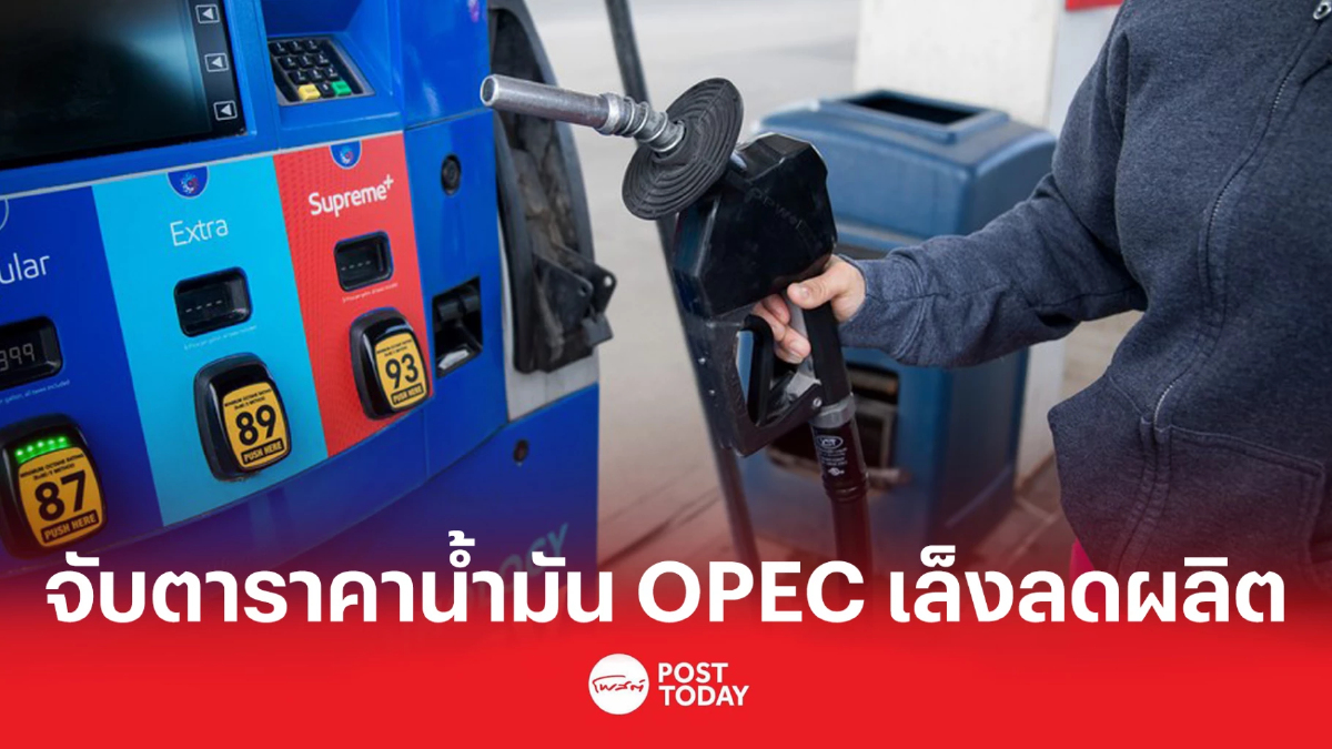 เตรียมจับตาราคาน้ำมัน OPEC เล็งลดการผลิต เตรียมจับตาราคาน้ำมัน OPEC เล็งลดการผลิต