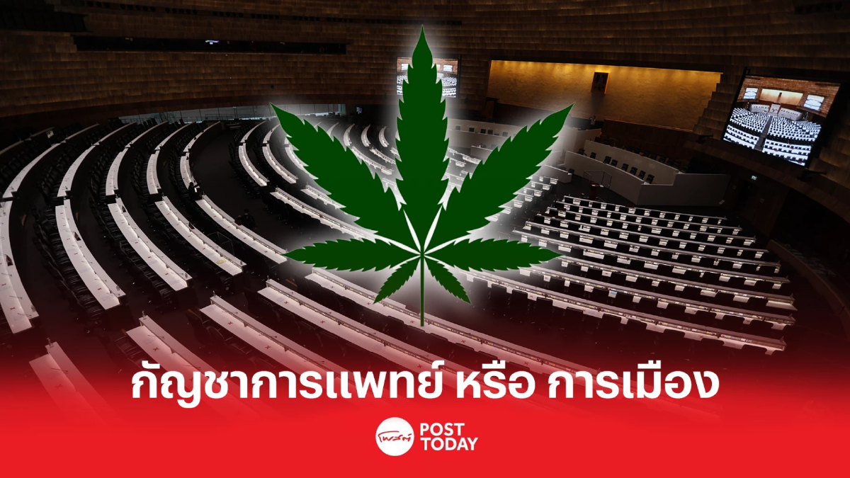 ผ่าร่างพ.ร.บ.กัญชา กัญชง เพื่อการแพทย์ หรือการเมือง ผ่าร่างพ.ร.บ.กัญชา กัญชง เพื่อการแพทย์ หรือการเมือง