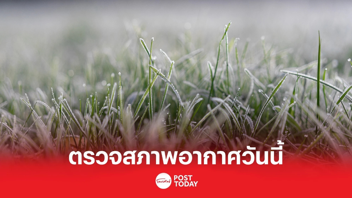 รายงานอากาศวันนี้ เหนือ อีสานเย็นถึงหนาว ใต้เผชิญฝนตกหนัก รายงานอากาศวันนี้ เหนือ อีสานเย็นถึงหนาว ใต้เผชิญฝนตกหนัก