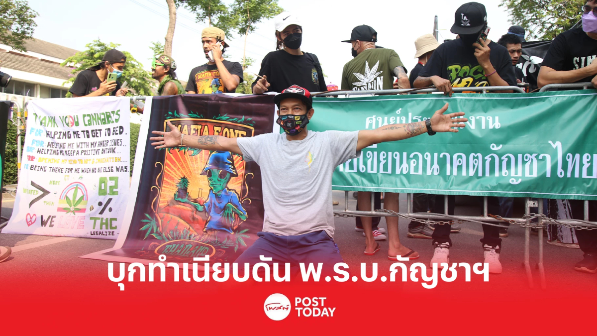 'เครือข่ายประชาชน' นัดบุกทำเนียบจี้ "วิษณุ" ค้านนำกัญชากลับเป็นยาเสพติด 'เครือข่ายประชาชน' นัดบุกทำเนียบจี้ "วิษณุ" ค้านนำกัญชากลับเป็นยาเสพติด