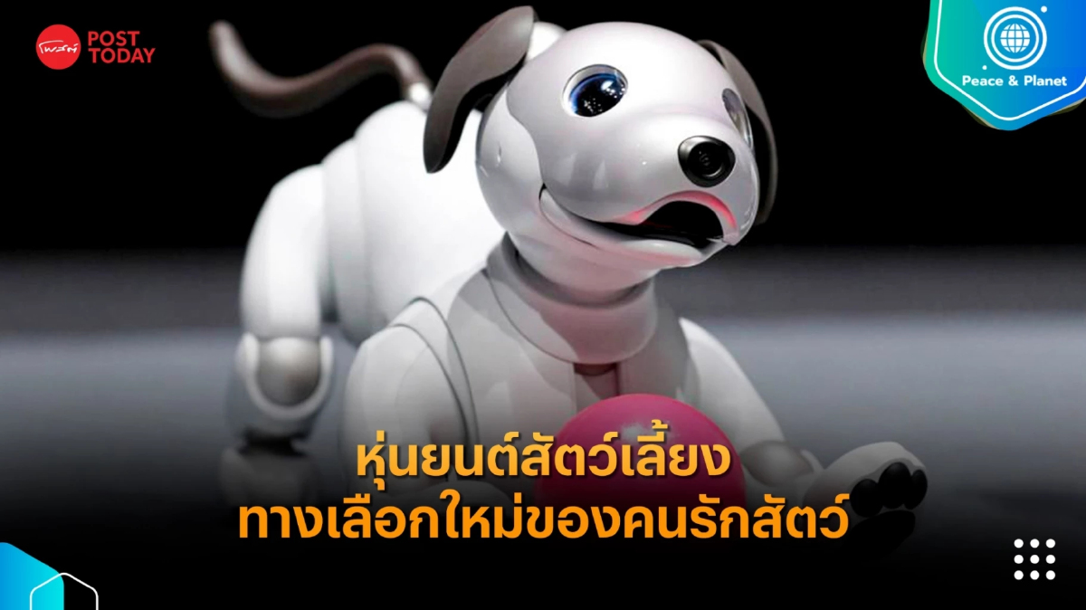 หุ่นยนต์สัตว์เลี้ยง ทางเลือกใหม่ของคนรักสัตว์ หุ่นยนต์สัตว์เลี้ยง ทางเลือกใหม่ของคนรักสัตว์