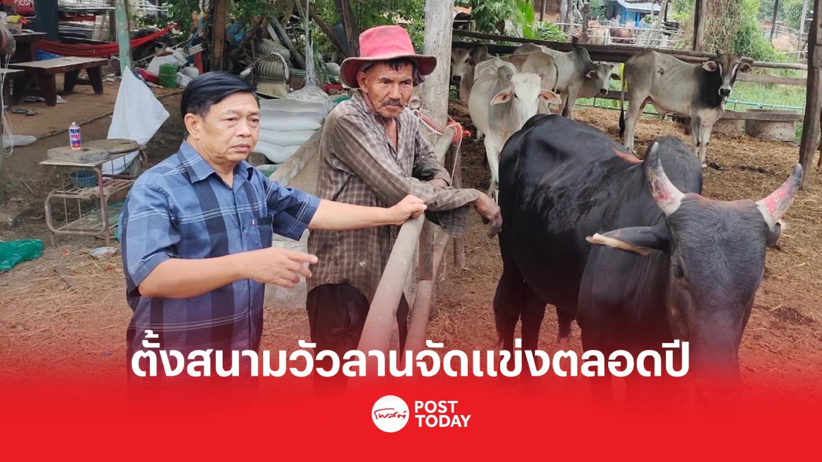 “อลงกรณ์”เปิดแผนพัฒนาโคพื้นเมือง เล็งสร้างสนามกีฬาวัวลานจัดแข่งตลอดปี “อลงกรณ์”เปิดแผนพัฒนาโคพื้นเมือง เล็งสร้างสนามกีฬาวัวลานจัดแข่งตลอดปี