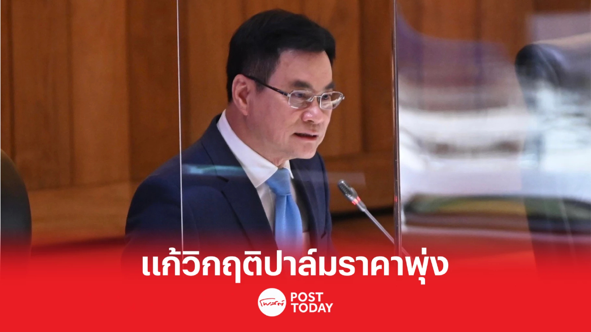 'จุรินทร์' ตอบสภาช่วยชาวสวนปาล์มแก้วิกฤติจนราคาทะยานพุ่ง 'จุรินทร์' ตอบสภาช่วยชาวสวนปาล์มแก้วิกฤติจนราคาทะยานพุ่ง
