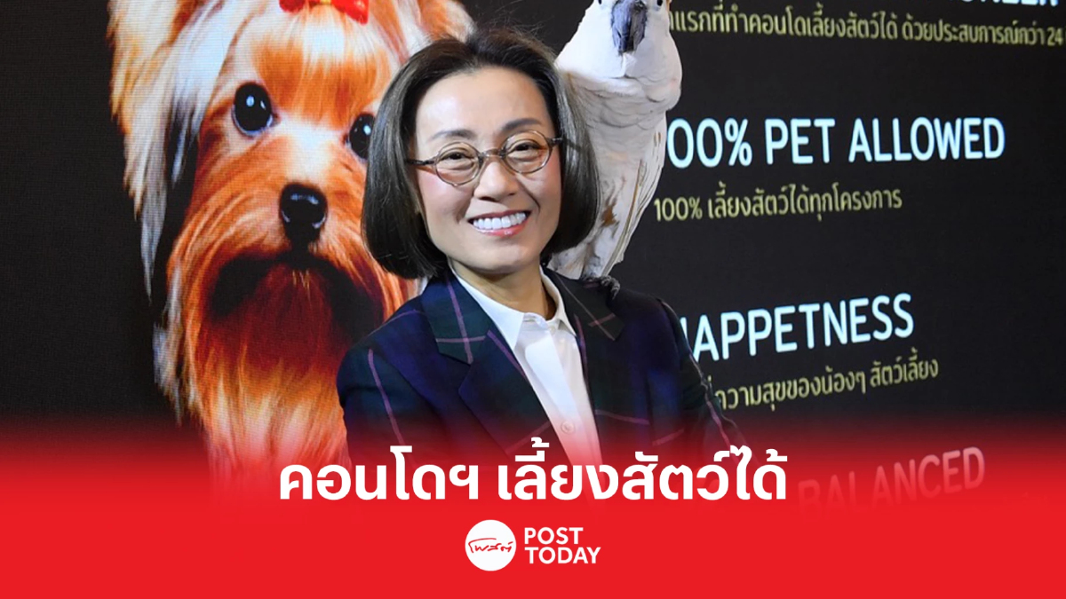 MJD ชูแนวคิดในการอยู่อาศัยร่วมกับสัตว์เลี้ยง MJD ชูแนวคิดในการอยู่อาศัยร่วมกับสัตว์เลี้ยง