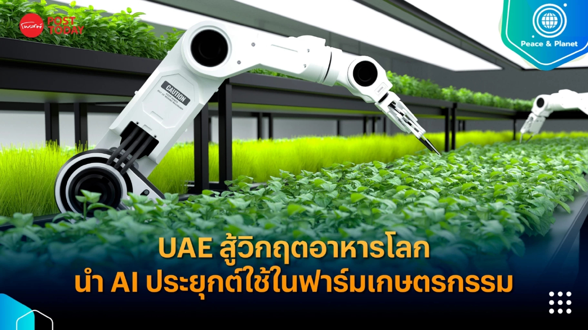 UAE สู้วิกฤตอาหารโลก นำ AI ประยุกต์ใช้ในฟาร์มเกษตรกรรม UAE สู้วิกฤตอาหารโลก นำ AI ประยุกต์ใช้ในฟาร์มเกษตรกรรม