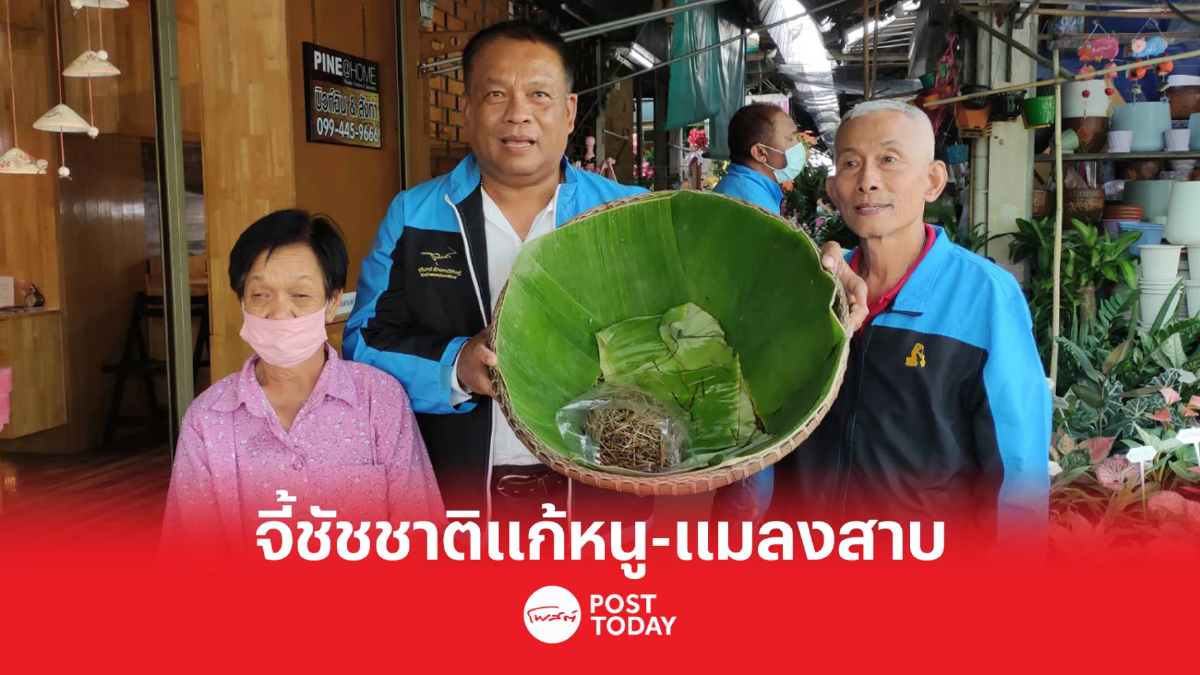 เลือกตั้ง66 : วัชระจี้ชัชชาติแก้ปมหนู-แมลงสาบเต็มตลาดสนามหลวง2 เลือกตั้ง66 : วัชระจี้ชัชชาติแก้ปมหนู-แมลงสาบเต็มตลาดสนามหลวง2