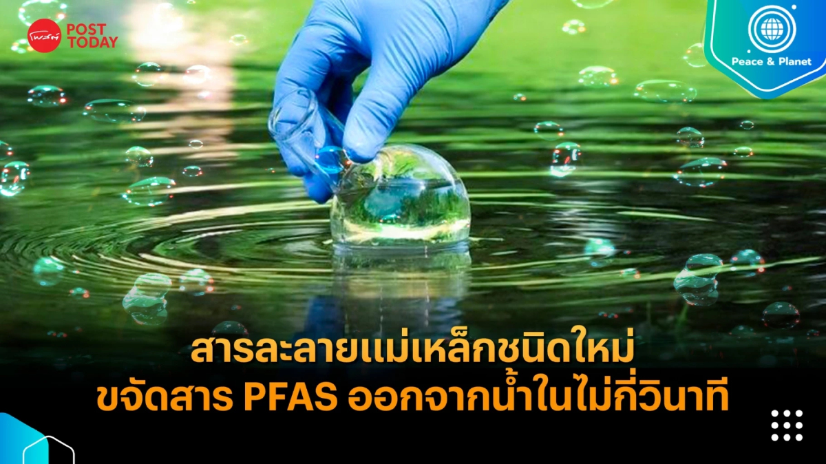 สารละลายแม่เหล็กชนิดใหม่ ขจัดสาร PFAS ออกจากน้ำในไม่กี่วินาที สารละลายแม่เหล็กชนิดใหม่ ขจัดสาร PFAS ออกจากน้ำในไม่กี่วินาที