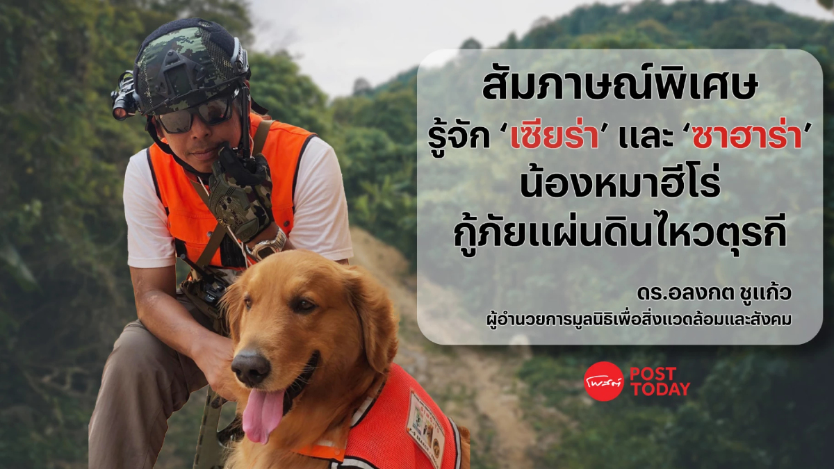 'เซียร่า' และ 'ซาฮาร่า' 2 น้องหมาจากไทย กับภารกิจกู้ภัยแผ่นดินไหวตุรกี 'เซียร่า' และ 'ซาฮาร่า' 2 น้องหมาจากไทย กับภารกิจกู้ภัยแผ่นดินไหวตุรกี