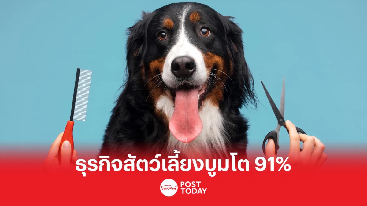 ส่องโอกาส "ธุรกิจบริการดูแลสัตว์เลี้ยง" หลังรายได้-กำไรเติบโต่อเนื่อง 3 ปี ส่องโอกาส "ธุรกิจบริการดูแลสัตว์เลี้ยง" หลังรายได้-กำไรเติบโต่อเนื่อง 3 ปี