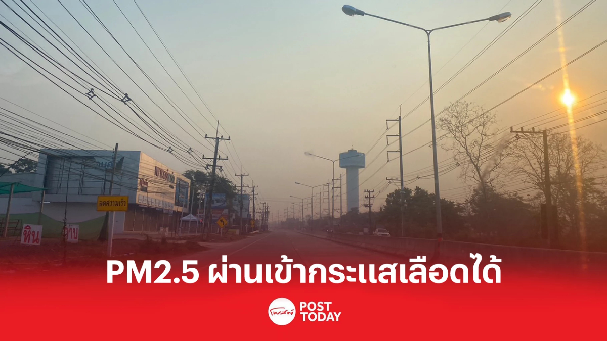 วิจัยพบ PM2.5 ผ่านเข้าสู่กระแสเลือดได้ วิจัยพบ PM2.5 ผ่านเข้าสู่กระแสเลือดได้