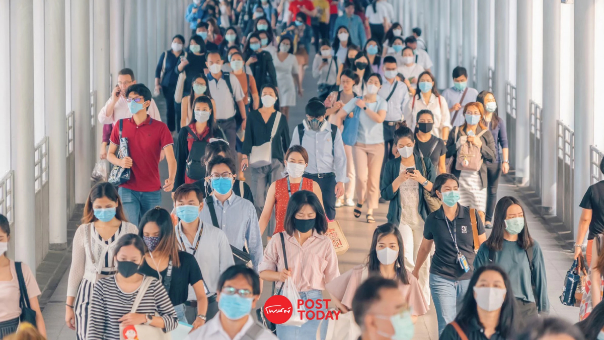 PM 2.5 ฝุ่นพิษ ภัยสุขภาพ เสี่ยงยีนส์กลายพันธุ์ก่อมะเร็งปอด PM 2.5 ฝุ่นพิษ ภัยสุขภาพ เสี่ยงยีนส์กลายพันธุ์ก่อมะเร็งปอด