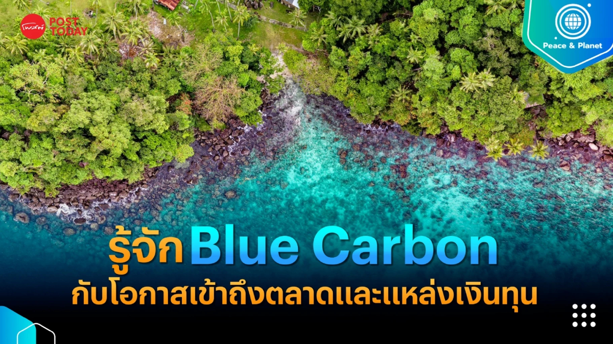Climate Change : รู้จัก Blue Carbon กับโอกาสในการเข้าถึงตลาดและแหล่งเงินทุน Climate Change : รู้จัก Blue Carbon กับโอกาสในการเข้าถึงตลาดและแหล่งเงินทุน