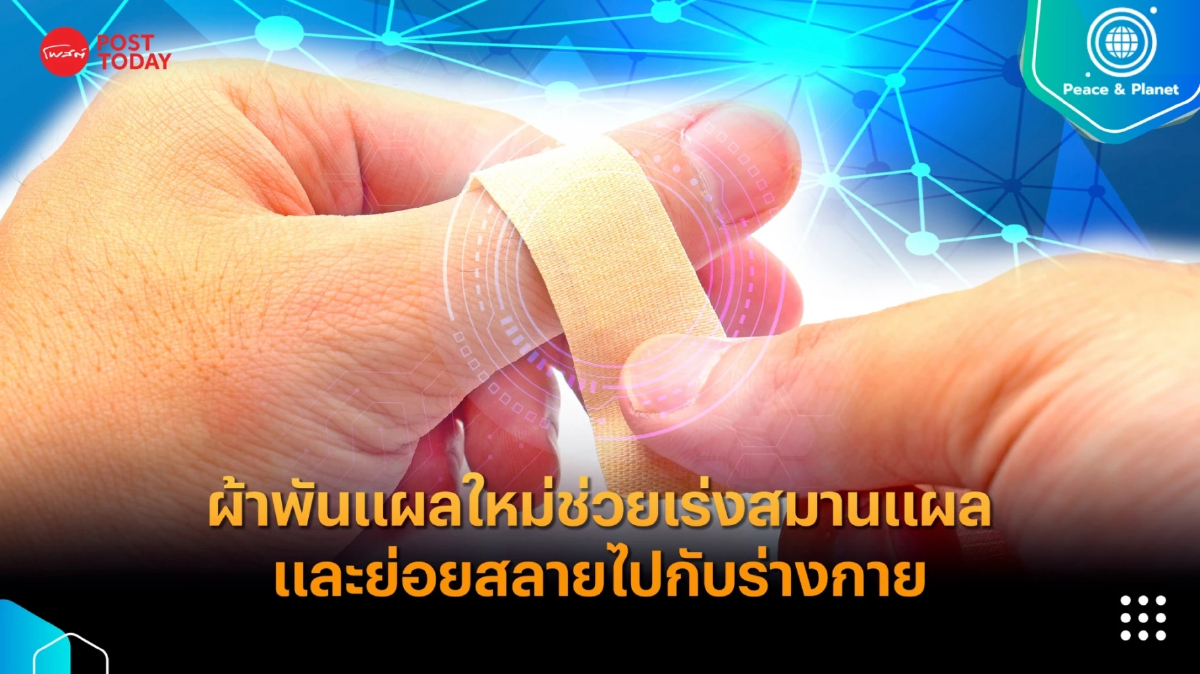 ผ้าพันแผลชนิดใหม่ช่วยเร่งสมานแผลและย่อยสลายไปกับร่างกาย ผ้าพันแผลชนิดใหม่ช่วยเร่งสมานแผลและย่อยสลายไปกับร่างกาย