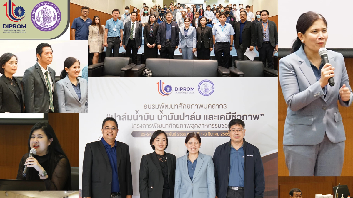 สถาบันพระจอมเกล้าฯ เปิดโครงการพัฒนาศักยภาพผู้ประกอบการปาล์มน้ำมัน สถาบันพระจอมเกล้าฯ เปิดโครงการพัฒนาศักยภาพผู้ประกอบการปาล์มน้ำมัน