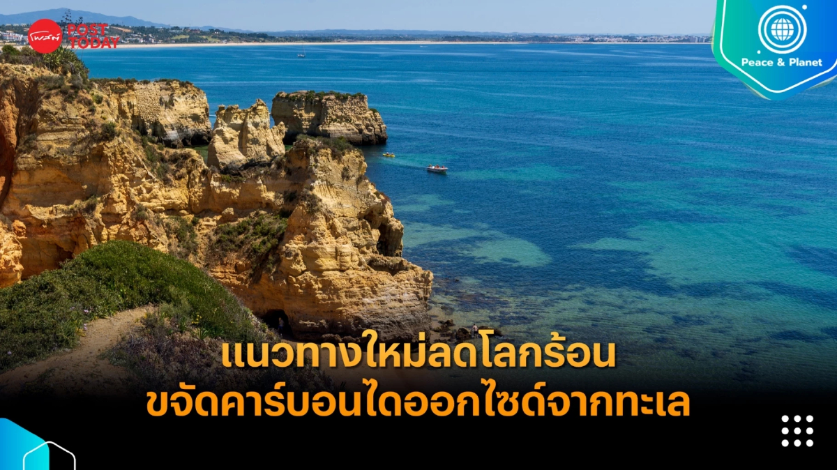 แนวทางใหม่ลดโลกร้อน การขจัดคาร์บอนไดออกไซด์จากน้ำทะเล แนวทางใหม่ลดโลกร้อน การขจัดคาร์บอนไดออกไซด์จากน้ำทะเล