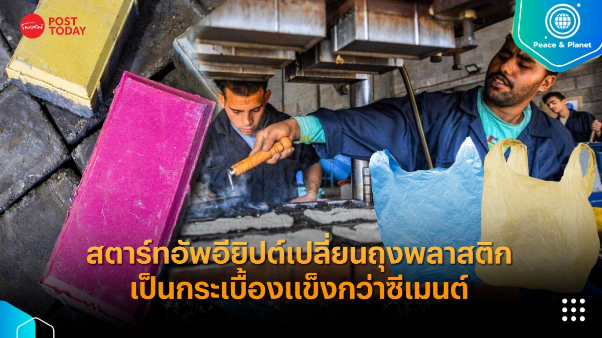 สตาร์ทอัพอียิปต์เปลี่ยนถุงพลาสติกเป็นกระเบื้องแข็งกว่าซีเมนต์ สตาร์ทอัพอียิปต์เปลี่ยนถุงพลาสติกเป็นกระเบื้องแข็งกว่าซีเมนต์