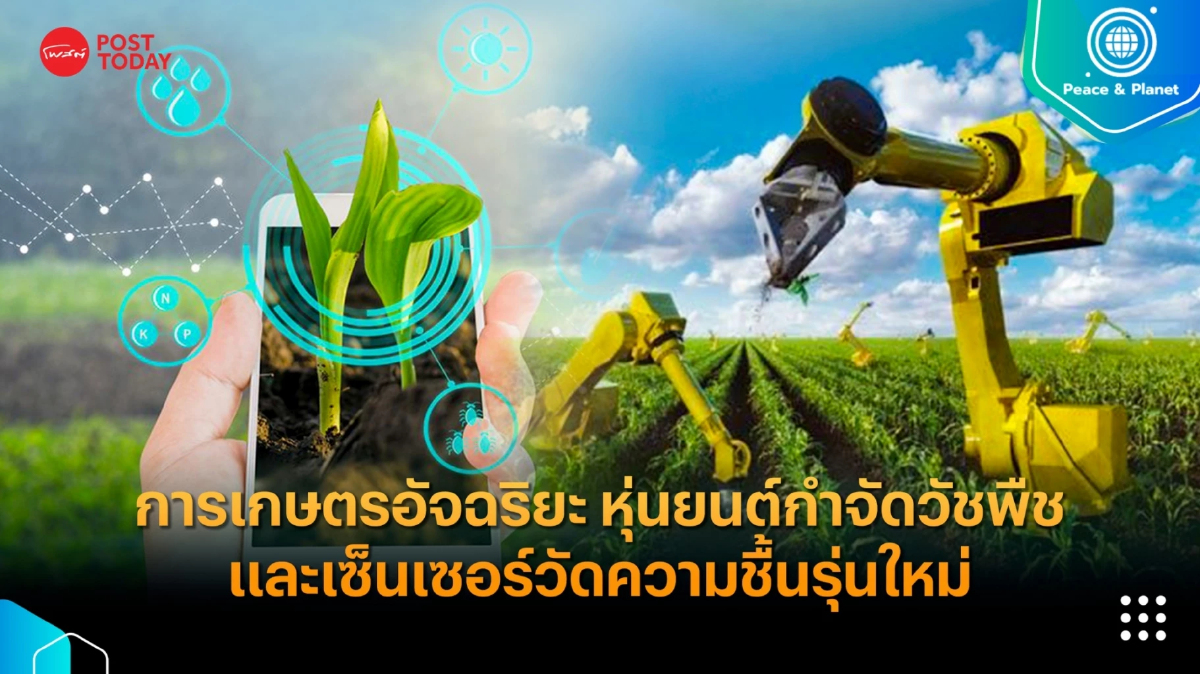 สู่การเกษตรอัจฉริยะ หุ่นยนต์กำจัดวัชพืชและเซ็นเซอร์วัดความชื้นรุ่นใหม่ สู่การเกษตรอัจฉริยะ หุ่นยนต์กำจัดวัชพืชและเซ็นเซอร์วัดความชื้นรุ่นใหม่