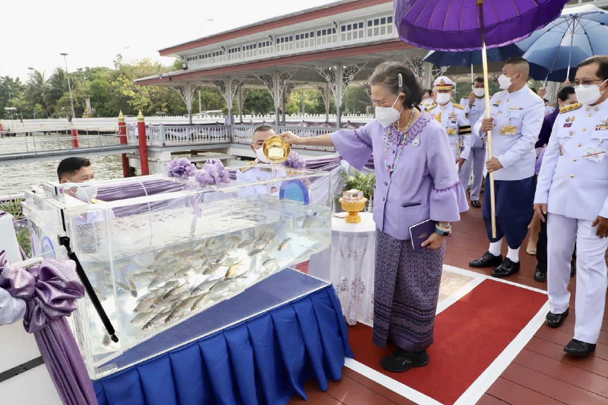 กรมสมเด็จพระเทพฯ เสด็จพระราชดำเนิน ไปทรงปล่อยพันธุ์สัตว์น้ำ กรมสมเด็จพระเทพฯ เสด็จพระราชดำเนิน ไปทรงปล่อยพันธุ์สัตว์น้ำ