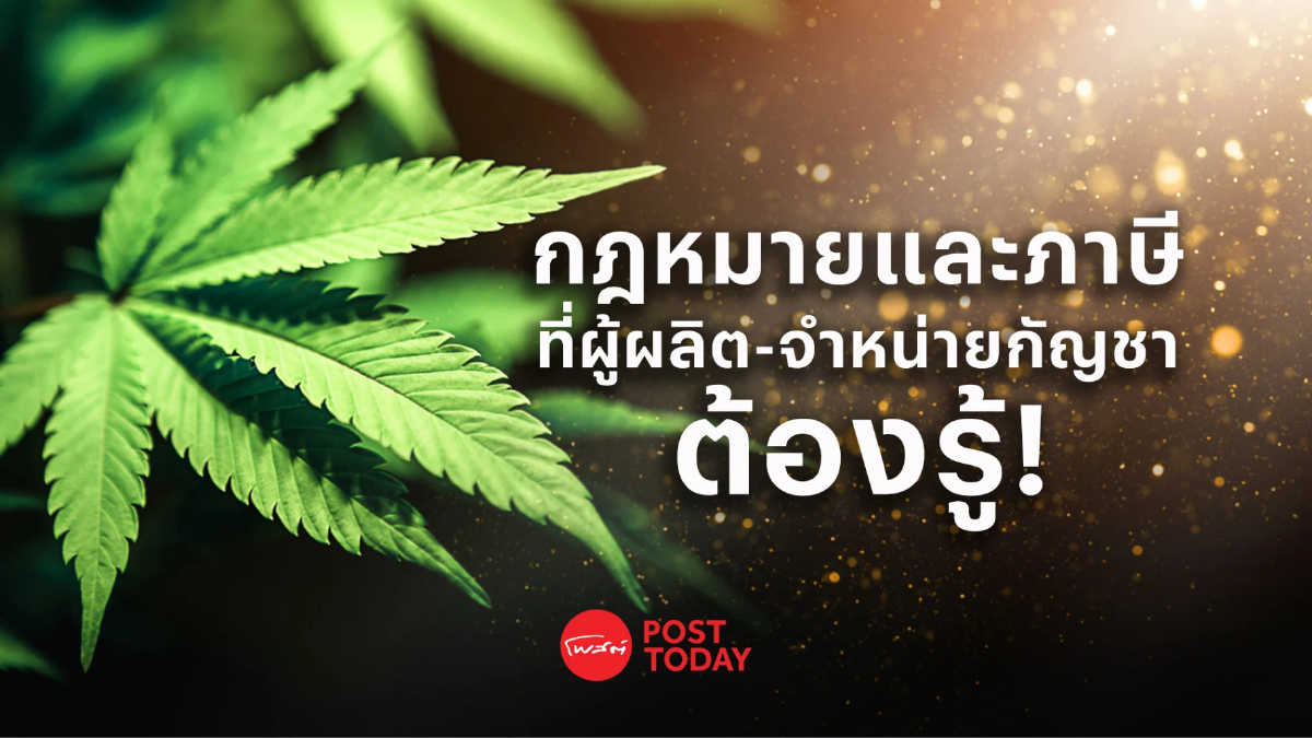 กฎหมายและภาษีที่ผู้ผลิต-จำหน่ายกัญชาต้องรู้ กฎหมายและภาษีที่ผู้ผลิต-จำหน่ายกัญชาต้องรู้