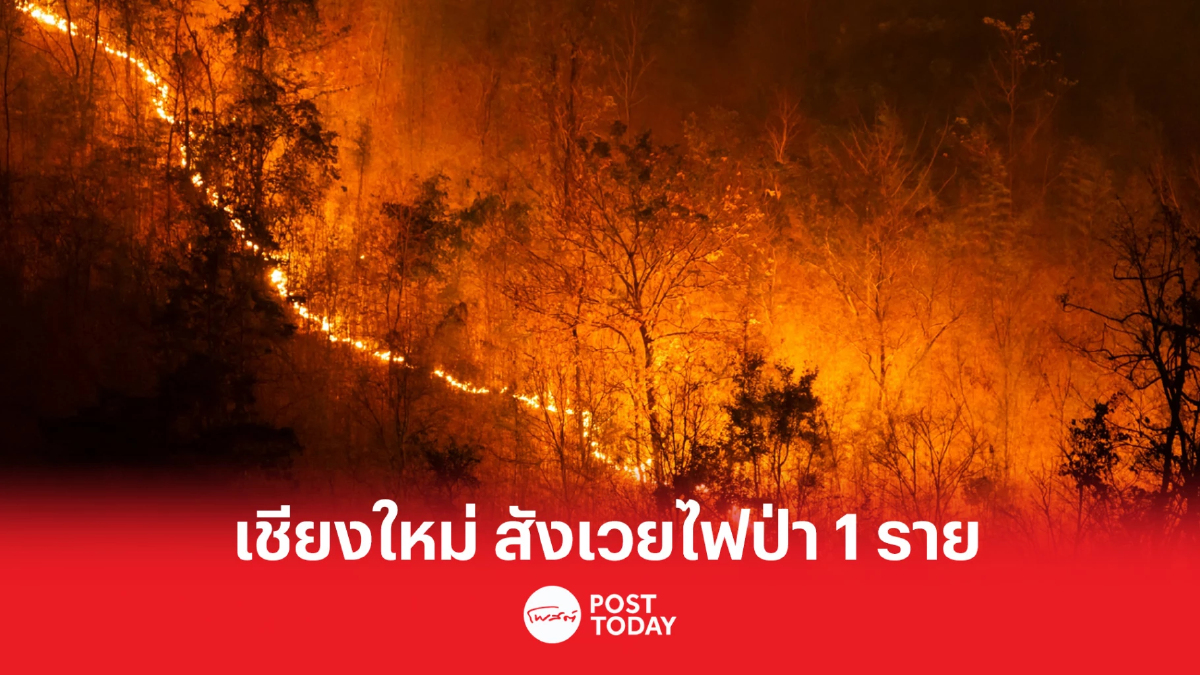 เชียงใหม่วิกฤต สังเวยไฟป่า 1 ราย หมอกควันยังน่าห่วง เชียงใหม่วิกฤต สังเวยไฟป่า 1 ราย หมอกควันยังน่าห่วง