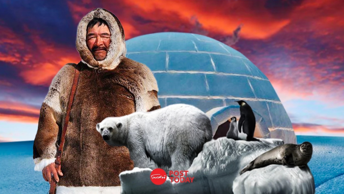 Climate Crisis: หากโลกร้อนไม่หยุด มนุษย์จะหลุดไปอยู่นอกนิช! Climate Crisis: หากโลกร้อนไม่หยุด มนุษย์จะหลุดไปอยู่นอกนิช!