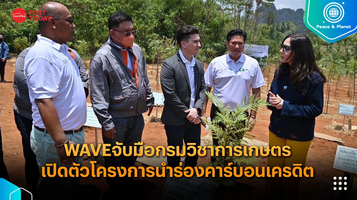 “ต้นซิลเวอร์โอ้ค” พืชเศรษฐกิจใหม่ สร้างคาร์บอนเครดิต “ต้นซิลเวอร์โอ้ค” พืชเศรษฐกิจใหม่ สร้างคาร์บอนเครดิต