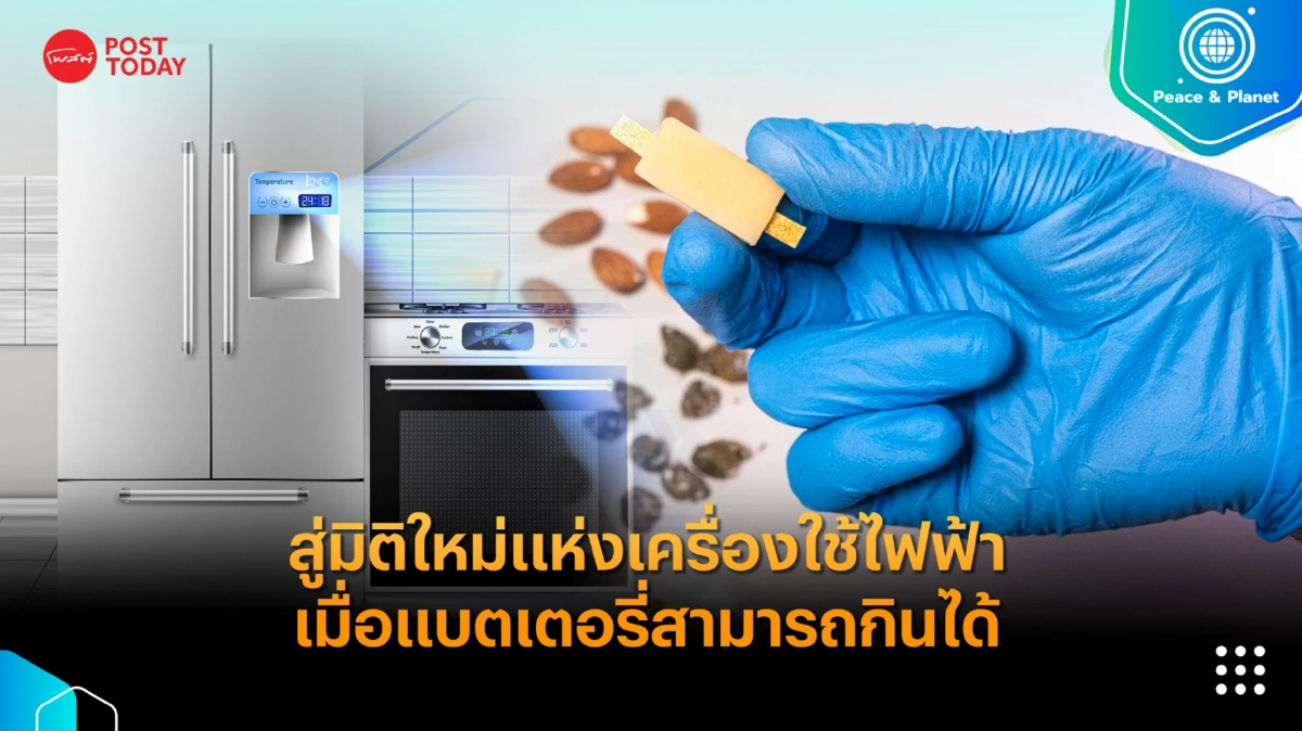 สู่มิติใหม่แห่งเครื่องใช้ไฟฟ้า เมื่อแบตเตอรี่สามารถกินได้ สู่มิติใหม่แห่งเครื่องใช้ไฟฟ้า เมื่อแบตเตอรี่สามารถกินได้