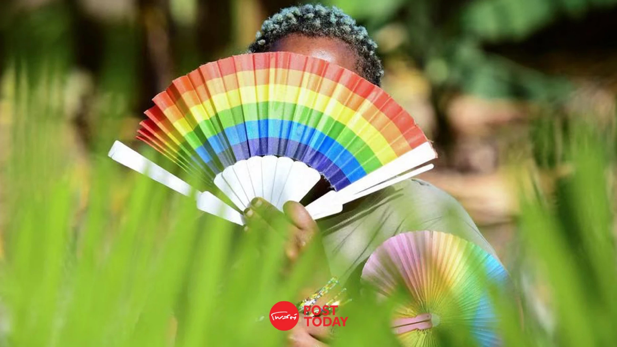 สิทธิของ LGBTQ ในแอฟริกาถูกจำกัดแค่ไหน? สิทธิของ LGBTQ ในแอฟริกาถูกจำกัดแค่ไหน?