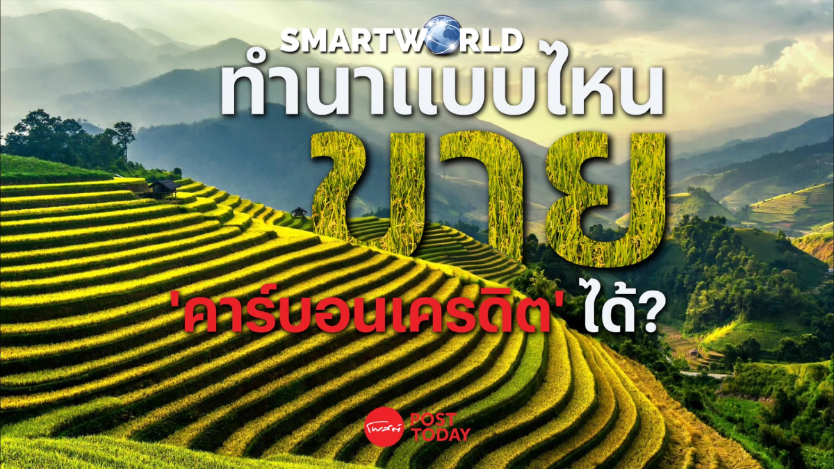 Smart World: ทำนาแบบไหน ขาย “คาร์บอนเครดิต” ได้? Smart World: ทำนาแบบไหน ขาย “คาร์บอนเครดิต” ได้?