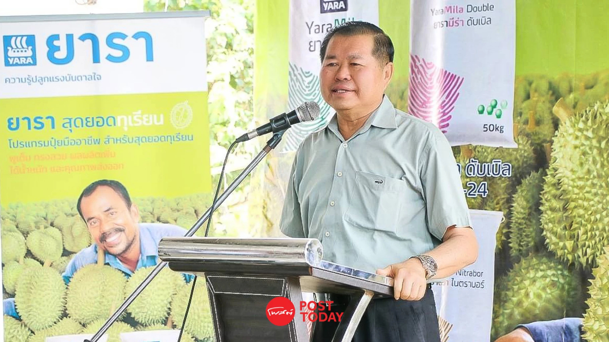 นิพนธ์ เล็ง ดัน ทุเรียน เป็นผลไม้เชิงพาณิชย์ใต้ ส่งออกเทียบยางพารา นิพนธ์ เล็ง ดัน ทุเรียน เป็นผลไม้เชิงพาณิชย์ใต้ ส่งออกเทียบยางพารา