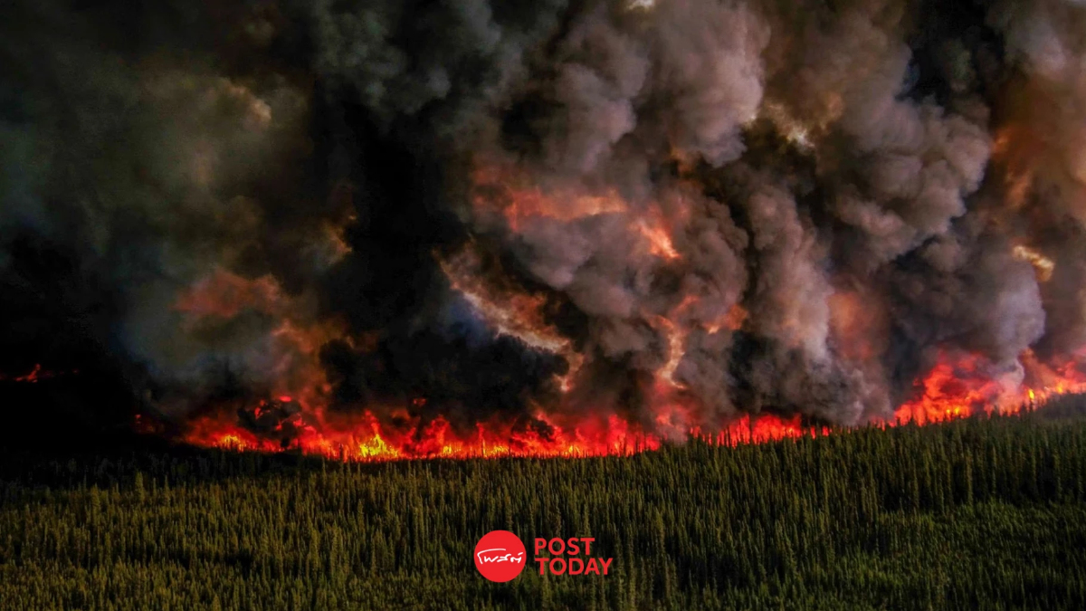 Climate change ทำพิษ ไฟป่าแคนาดาวิกฤตสุดในประวัติศาสตร์ Climate change ทำพิษ ไฟป่าแคนาดาวิกฤตสุดในประวัติศาสตร์
