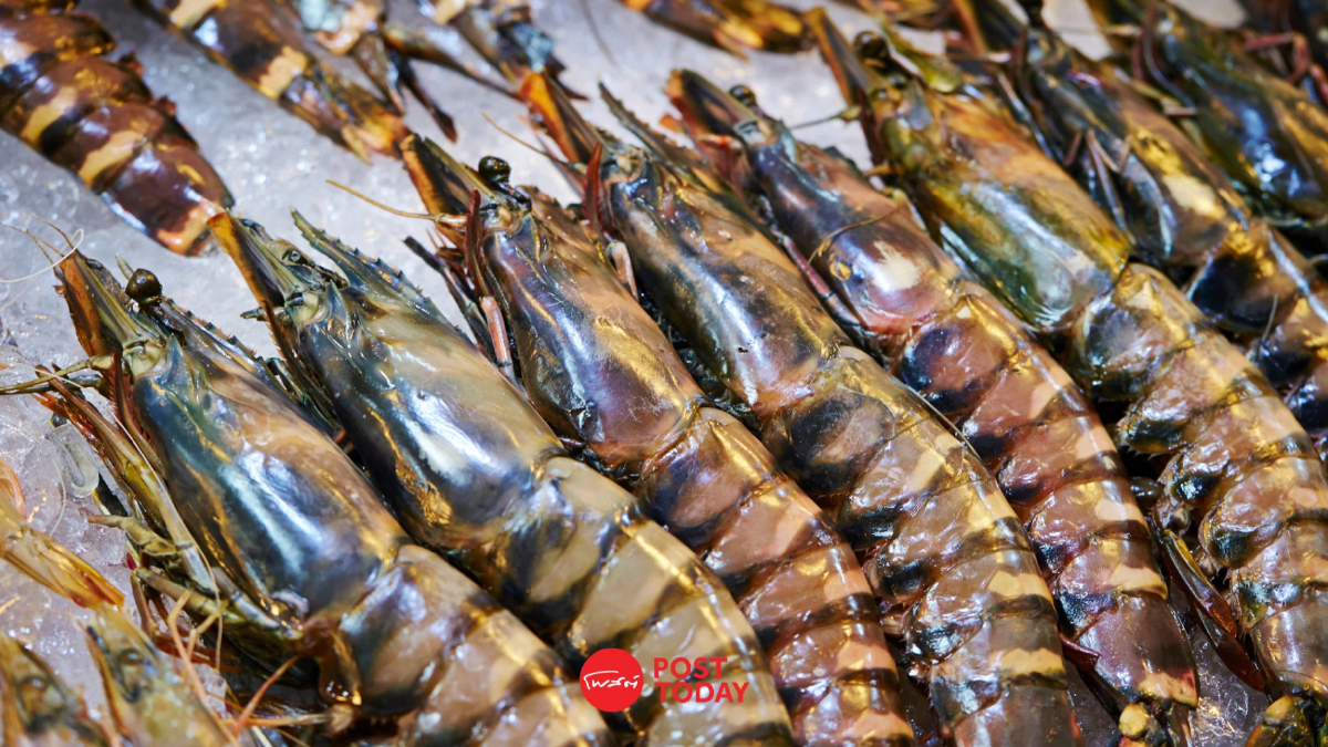 สหรัฐ ประกาศเก็บภาษีเอดี "กุ้งไทย" ต่อเนื่องอีก 5 ปี สหรัฐ ประกาศเก็บภาษีเอดี "กุ้งไทย" ต่อเนื่องอีก 5 ปี
