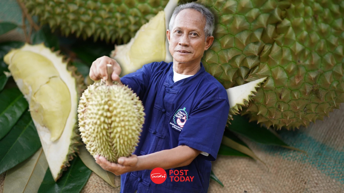 ถอดรหัสความสำเร็จ พัฒนา ‘ทุเรียนบาตามัส’ ของดีแดนใต้ ส่งออกทะลุ 70 ล้านบาท ถอดรหัสความสำเร็จ พัฒนา ‘ทุเรียนบาตามัส’ ของดีแดนใต้ ส่งออกทะลุ 70 ล้านบาท