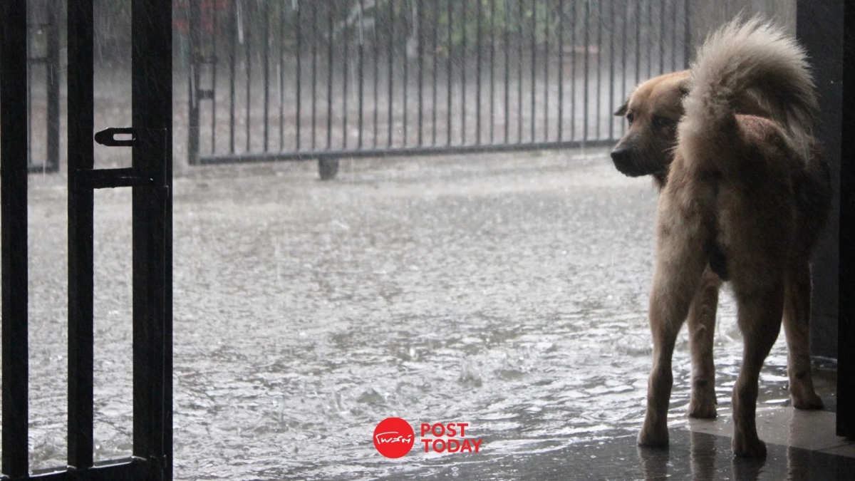 กรมอุตุนิยมวิทยาเตือนประเทศไทยตอนบนมีฝนตกมากขึ้น กรมอุตุนิยมวิทยาเตือนประเทศไทยตอนบนมีฝนตกมากขึ้น