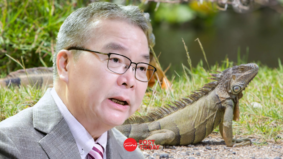'ชัย วัชรงค์'เผยรัฐบาลห้ามนำเข้าอีกัวน่าทุกชนิดลดการแพร่พันธุ์ 'ชัย วัชรงค์'เผยรัฐบาลห้ามนำเข้าอีกัวน่าทุกชนิดลดการแพร่พันธุ์