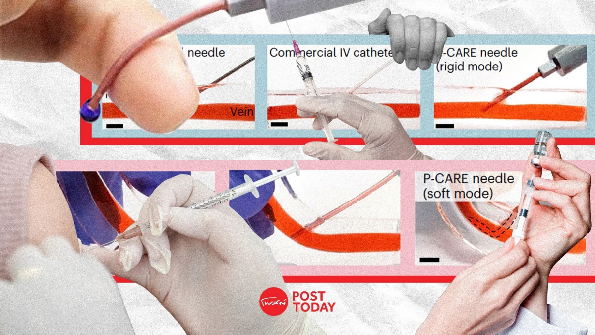 P-CARE เข็มฉีดยาชนิดอ่อนนุ่มที่ปลอดภัยต่อร่างกาย P-CARE เข็มฉีดยาชนิดอ่อนนุ่มที่ปลอดภัยต่อร่างกาย