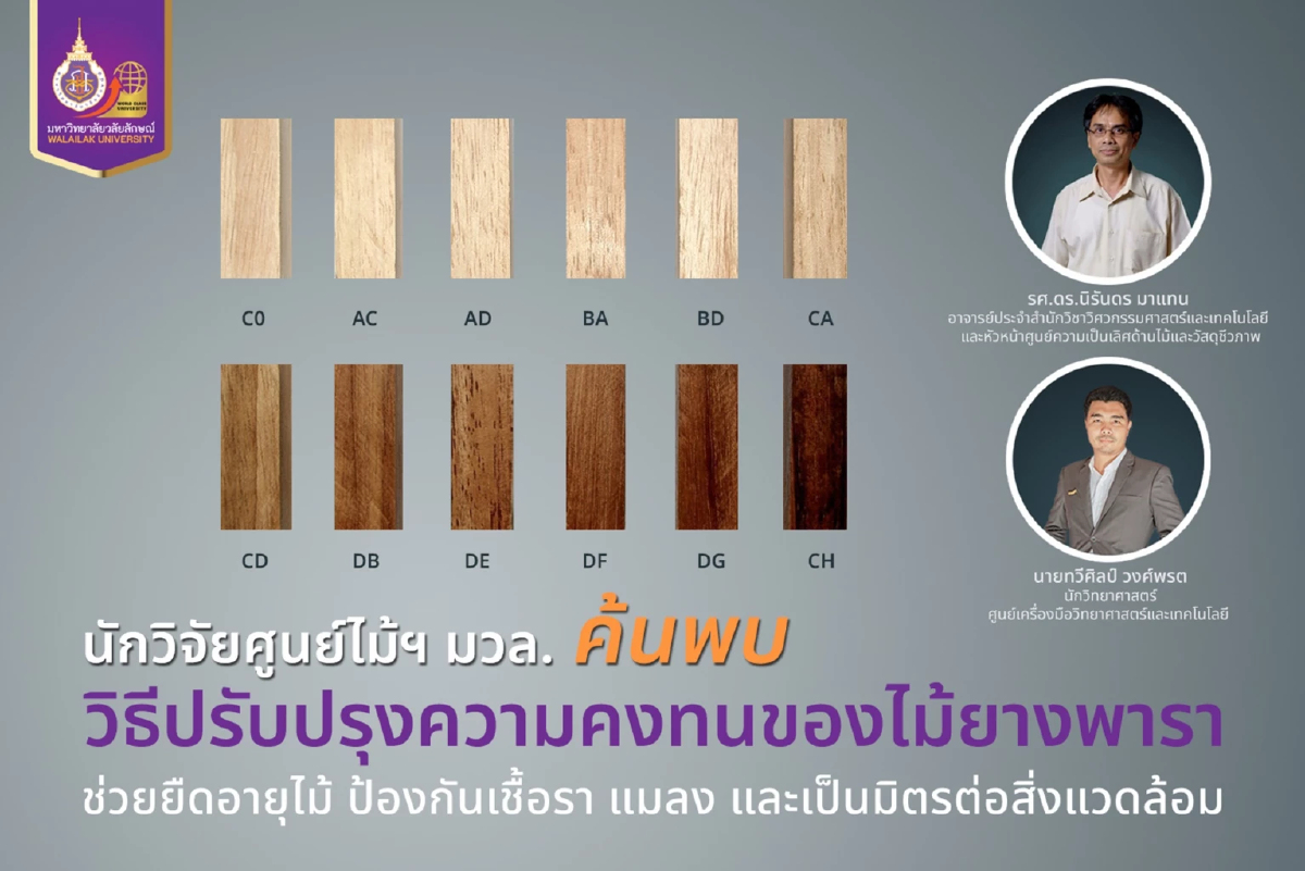 นักวิจัย มวล. พบวิธีปรับปรุงความคงทนไม้ยางพารา แก้ปัญหาเชื้อรา ปลวก แมลง นักวิจัย มวล. พบวิธีปรับปรุงความคงทนไม้ยางพารา แก้ปัญหาเชื้อรา ปลวก แมลง