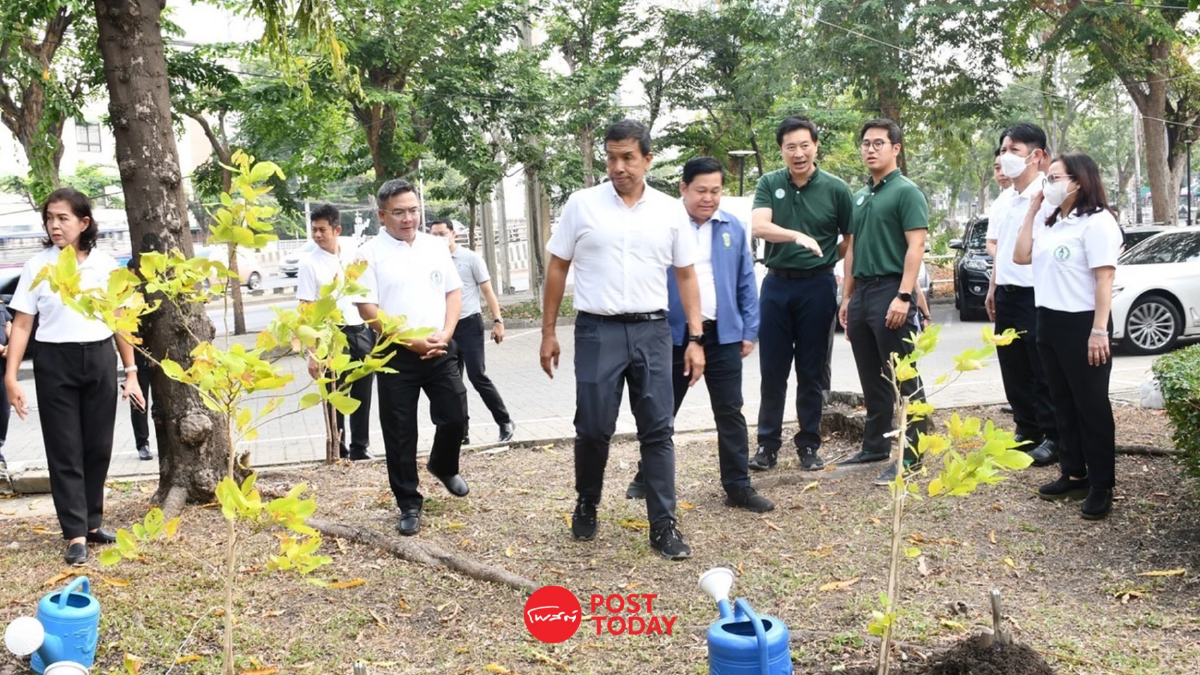 สร้างกำแพงกรองฝุ่นทั่วกรุง! โครงการต้นไม้ล้านต้น ปลูกแล้วเกือบ 8 แสนต้น สร้างกำแพงกรองฝุ่นทั่วกรุง! โครงการต้นไม้ล้านต้น ปลูกแล้วเกือบ 8 แสนต้น