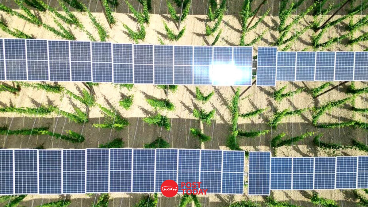 สัดส่วนของพลังงานทดแทนในระบบโครงข่ายไฟฟ้าของเยอรมนีสูงถึง 55% ในปี 2023 สัดส่วนของพลังงานทดแทนในระบบโครงข่ายไฟฟ้าของเยอรมนีสูงถึง 55% ในปี 2023