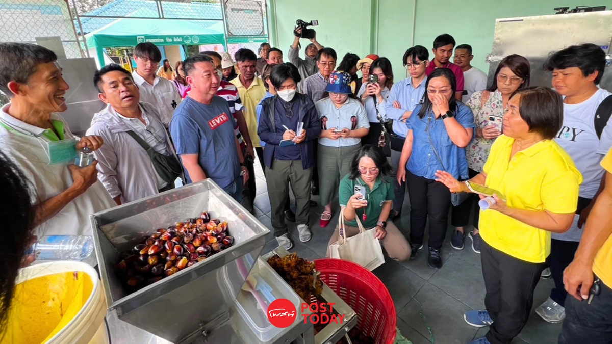 สกนช. ช่วยชุมชน จ.ตรัง ผลิตปาล์มแดงรับเทรนด์สุขภาพ-สิ่งแวดล้อม สกนช. ช่วยชุมชน จ.ตรัง ผลิตปาล์มแดงรับเทรนด์สุขภาพ-สิ่งแวดล้อม