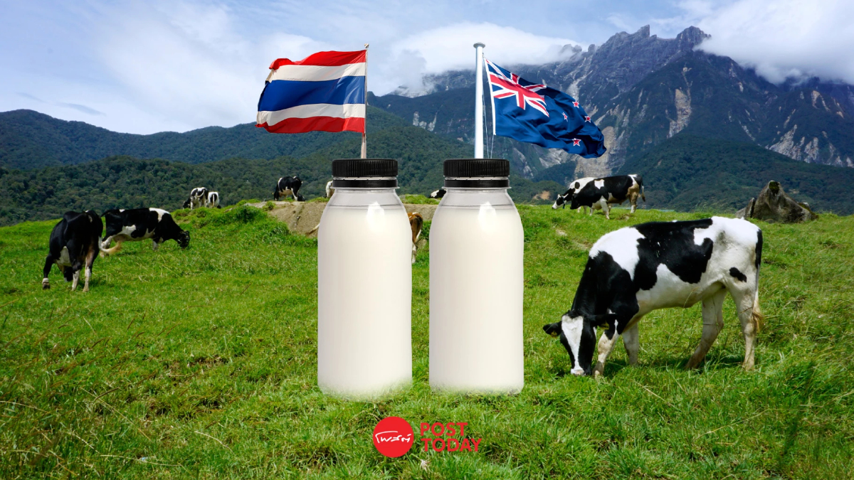 พาณิชย์ เร่งเครื่องดันผลิตภัณฑ์นมไทยบุกตลาดโลก รับเปิดเสรีโคนม พาณิชย์ เร่งเครื่องดันผลิตภัณฑ์นมไทยบุกตลาดโลก รับเปิดเสรีโคนม
