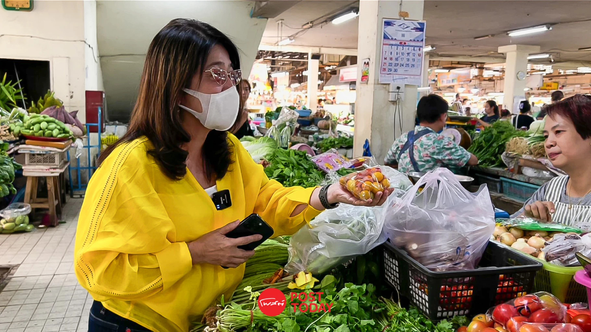 "สุดารัตน์" ลงตลาดเชียงใหม่ แม่ค้าประสานเสียงอยากได้เงินหมื่นเป็นเงินสด "สุดารัตน์" ลงตลาดเชียงใหม่ แม่ค้าประสานเสียงอยากได้เงินหมื่นเป็นเงินสด
