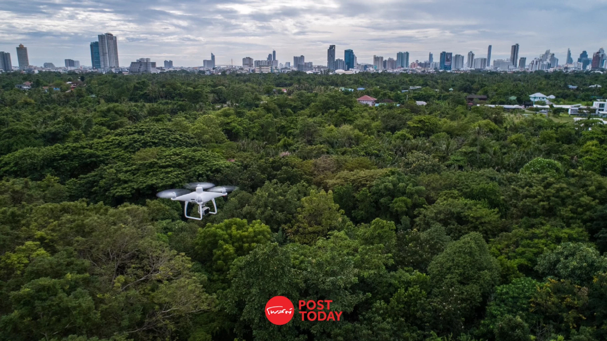 AI & Robotics เทคโนโลยีบริหารคาร์บอนเครดิตพร้อมบรรลุเป้าหมาย Net Zero AI & Robotics เทคโนโลยีบริหารคาร์บอนเครดิตพร้อมบรรลุเป้าหมาย Net Zero